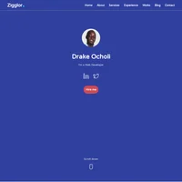 image of Zigglor portfolio website built by Drake Ocholi
